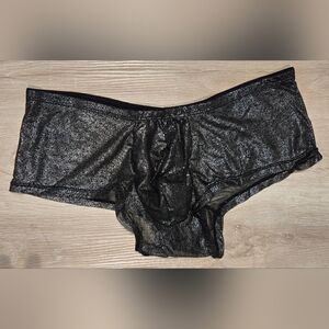 Shimmering Black Sheer Mens Brief